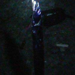 石津浜 ダイソージグで絶好調